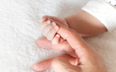 PERMISOS DE MATERNIDAD Y PATERNIDAD – NOVEDADES