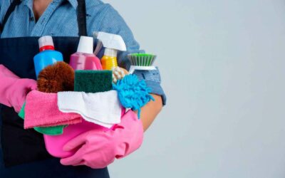 NOVA NORMATIVA EMPLEATS DE LA LLAR FAMILIAR